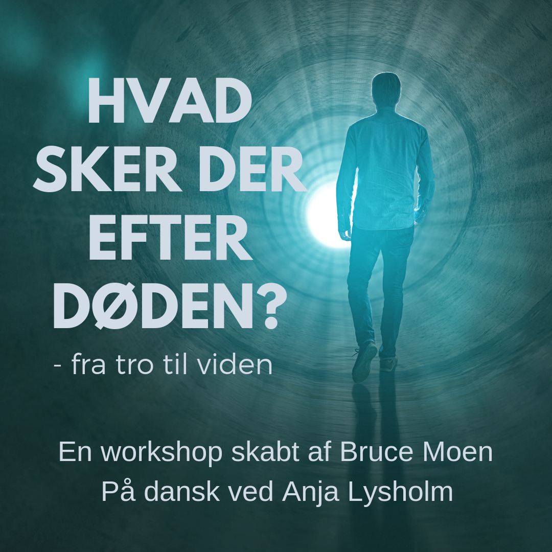 Deltag i Bruces workshop p dansk